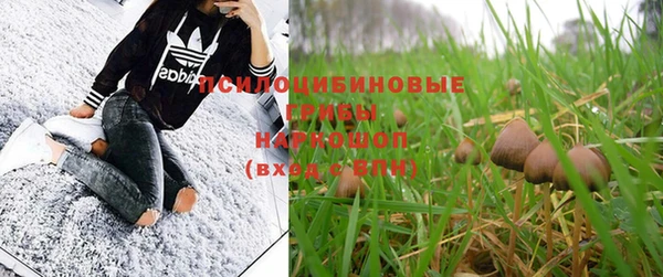 дмт Пролетарск