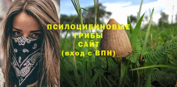 альфа пвп Приозерск