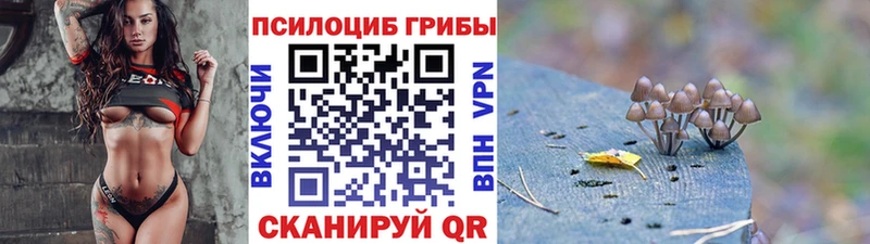 Псилоцибиновые грибы GOLDEN TEACHER  Купить  Звенигород 